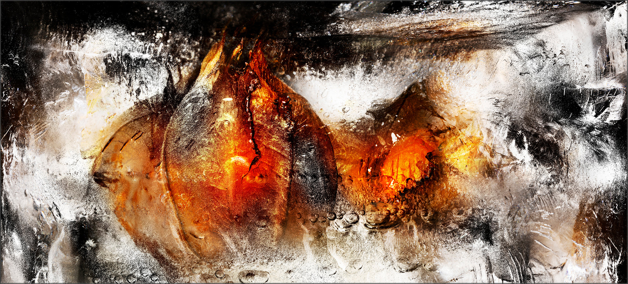 Physalis