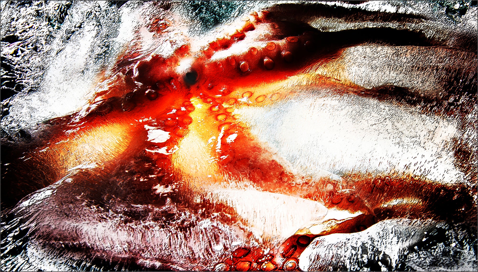 Pulpo